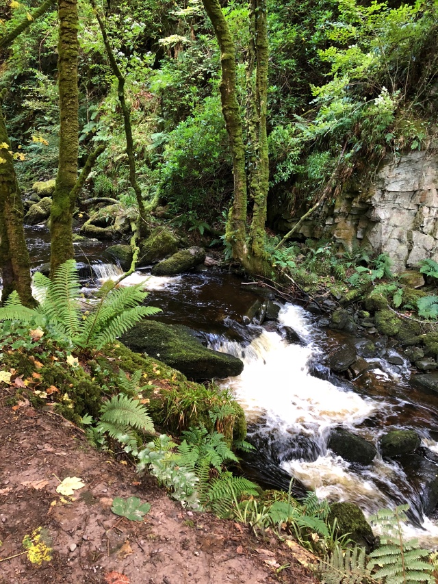 2018-09-18 15-48-24 Blarney Castle.jpg